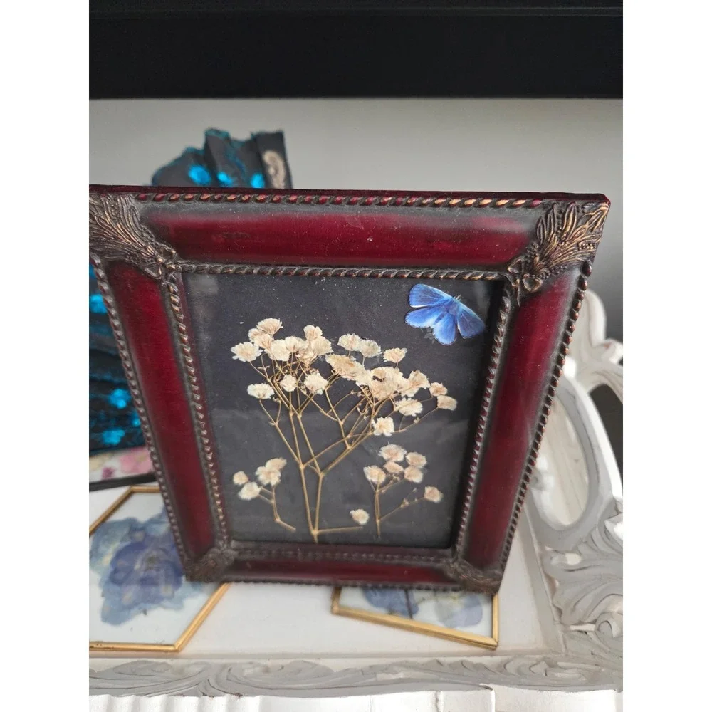 Vintage Style Pressed Babys Breath Blue Butterfly Wood Frame Glass Art 5x7